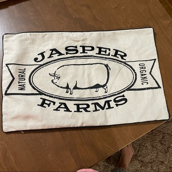Other - Pig Pillow cover